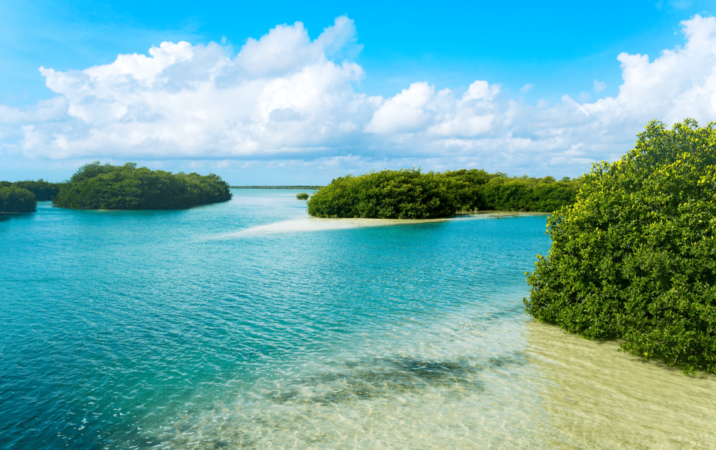 Agua turquesa y manglares en la Reserva de Sian Ka’an, Quintana Roo, unos de los destinos para hacer ecoturismo en México