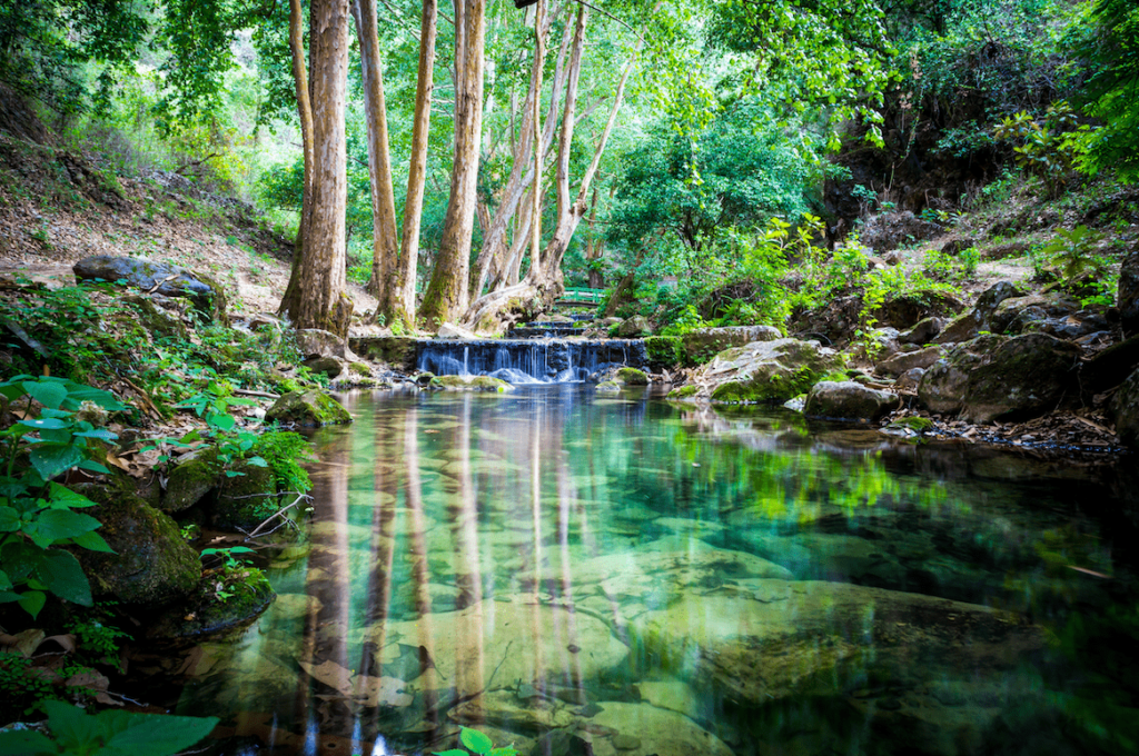 Espejo de agua en la Reserva de la Biosfera Sierra Gorda, Querétaro
