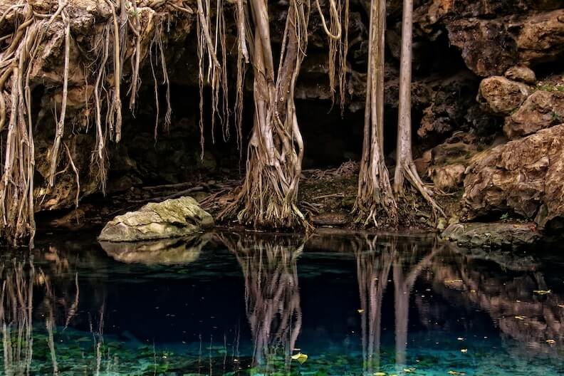 El interior del cenote X-Batun con sus aguas azul oscuro y raices colgantes de arboles