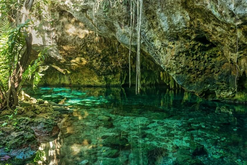 El Gran Cenote en Quintana Roo con aguas verdes y flora, uno de los cenotes mas famosos en Mexico