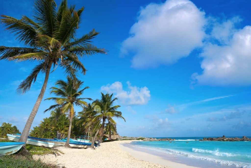 La playa Chen Rio, una de las playas de Mexico mas hermosas , y palmeras en la Isla Cozumel, Riviera Maya