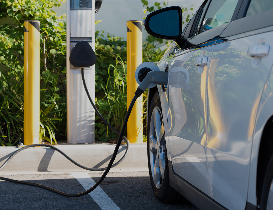 Element Fleet Management Mexico prepares its electromobility fleet