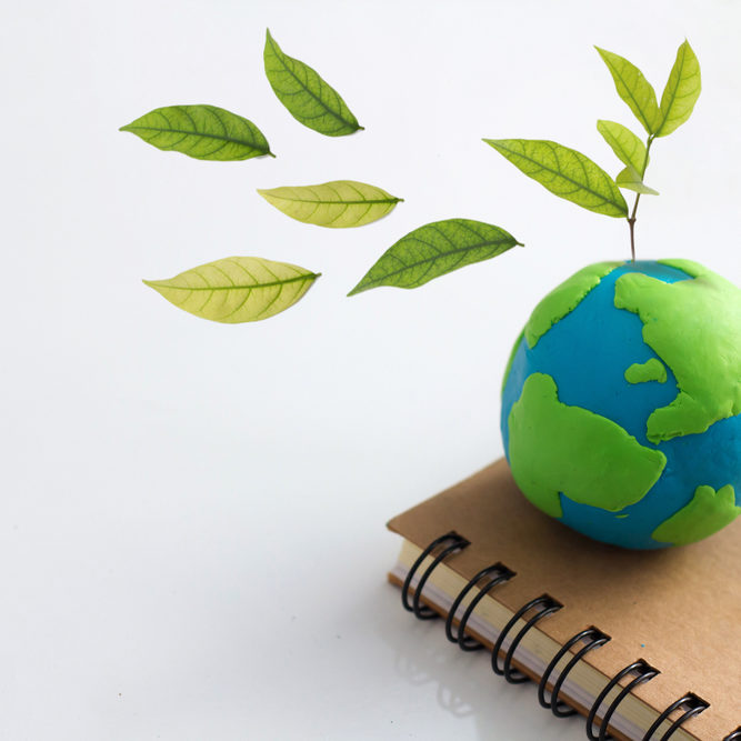 La educación ambiental y su impacto en la población