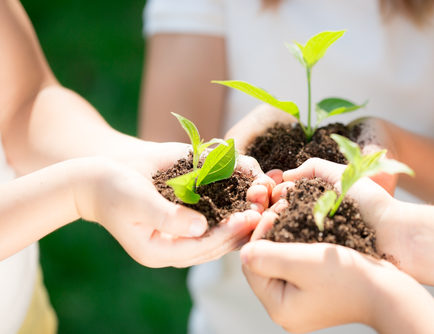 Environmental education and its impact on population